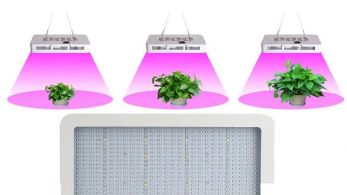 LED lampa za uzgoj marihuane