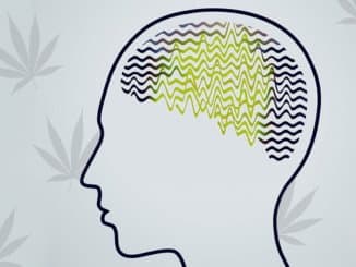 Epilepsija i marihuana