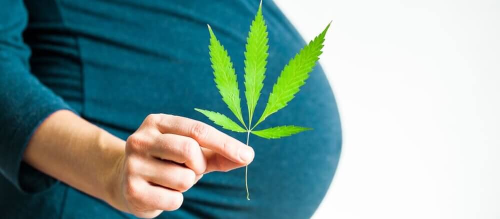 trudnoća i marihuana