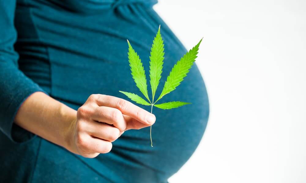 trudnoća i marihuana