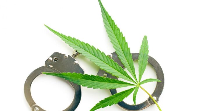 Legalizacija marihuane u SAD daje primjer Hrvatskoj