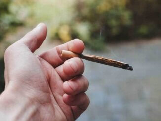 Legalizacija marihuane utječe na smanjenje smrtnosti od droga i lijekova