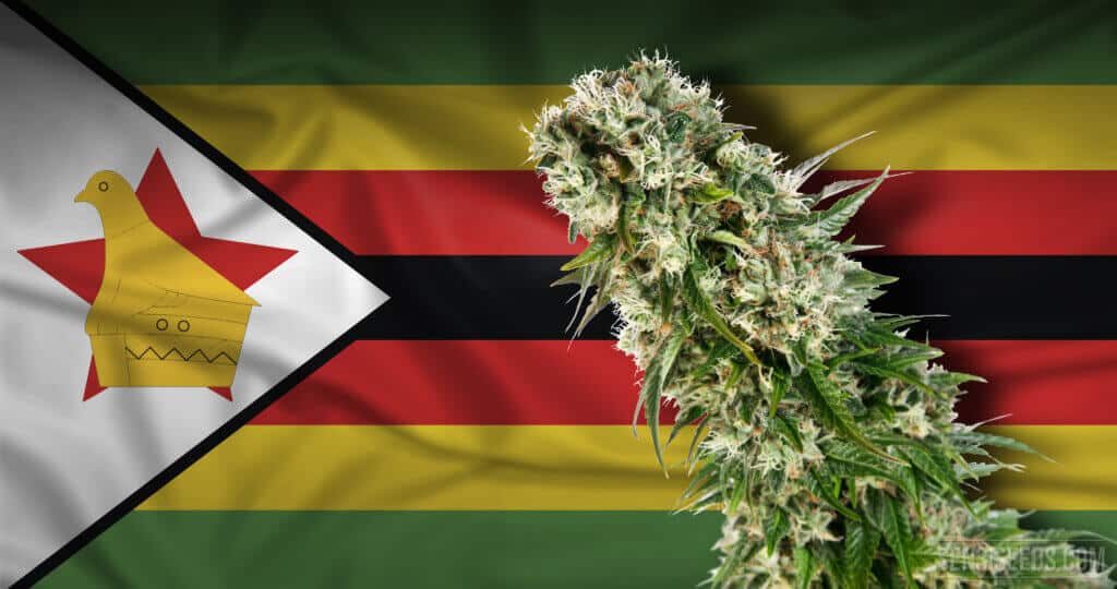 Legalizacija kanabisa u Zimbabveu je na pragu