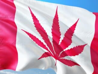 Uzgoj marihuane kod kuće je sada legalan u Quebecu.