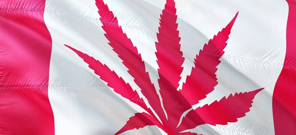 Uzgoj marihuane kod kuće je sada legalan u Quebecu.
