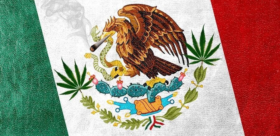 Meksiko legalizirao kanabis