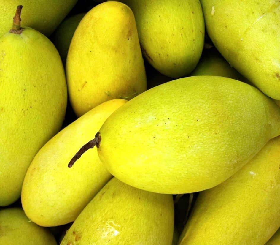 Mango se koristi uz kanabis u svrhu povećanja potencije marihuane