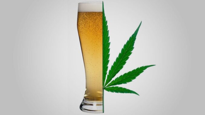 Marihuana i alkohol: vječita borba