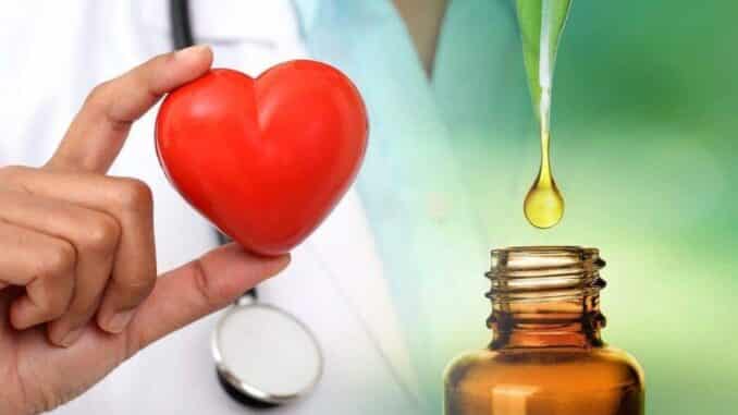 U ovom članku pišemo o dobrobitima CBD ulja za srce i krvožilni sustav.