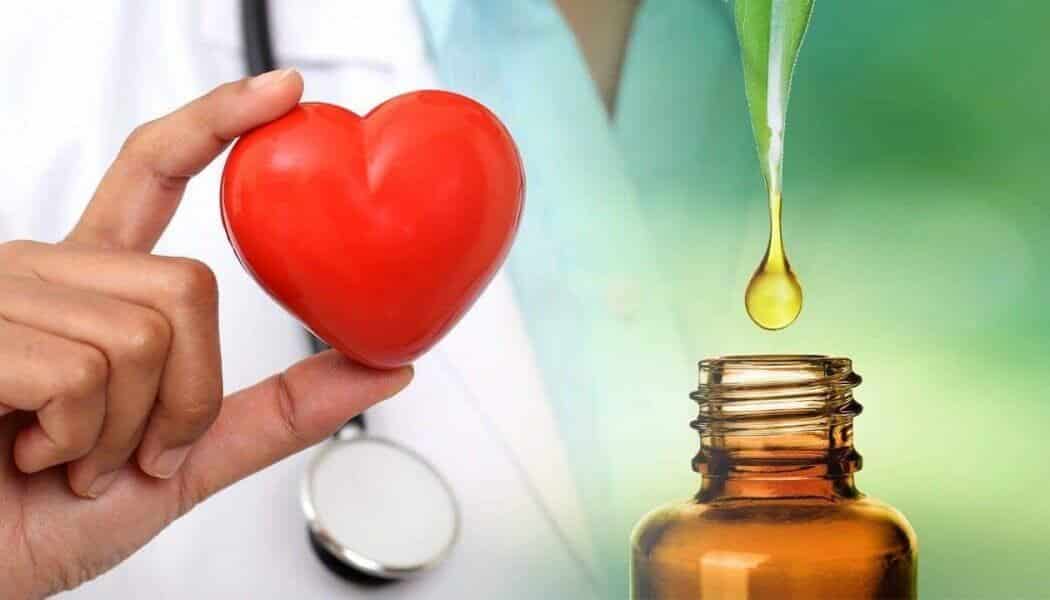 Srce i krvožilni sustav