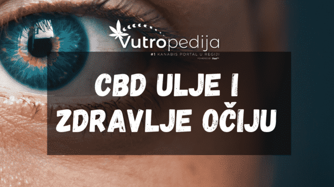 CBD ulje može biti korisno za oči, no ne kao i njegov suparnik THC.
