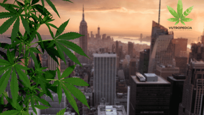 Potpuna legalizacija kanabisa u New Yorku
