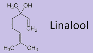 Konoplja ima velik broj kemijskih svojstava među kojima se nalazi terpen Linalool.