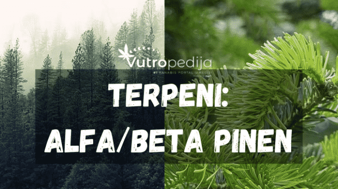 Alfa/beta pinen