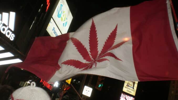 Kanadska zastava s listom kanabisa.